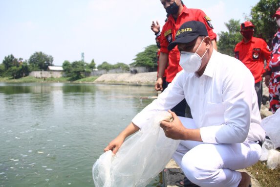 Tri Adhianto Bersama PBB Menyebar 20.000 Bibit Ikan Di HUT RI Ke-76 Uritanet.com